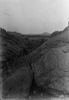 Glass plate photograph crw_2936