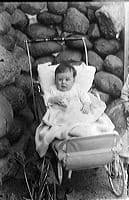 Glass plate photograph crw_2938