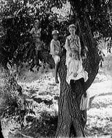 Glass plate photograph crw_2964